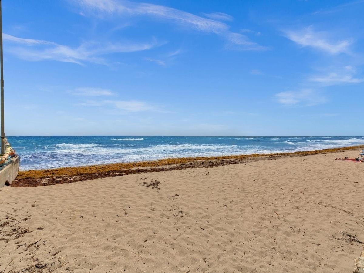 Appartamento Dania Beach Holiday Retreat International Airport Esterno foto